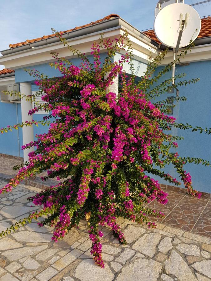 Holiday Home Ankica Ražanac Екстериор снимка