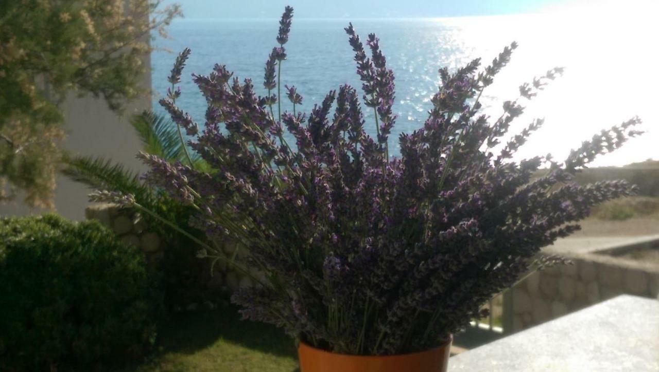 Holiday Home Ankica Ražanac Екстериор снимка